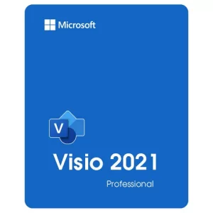 Microsoft Visio 2021 Professional*